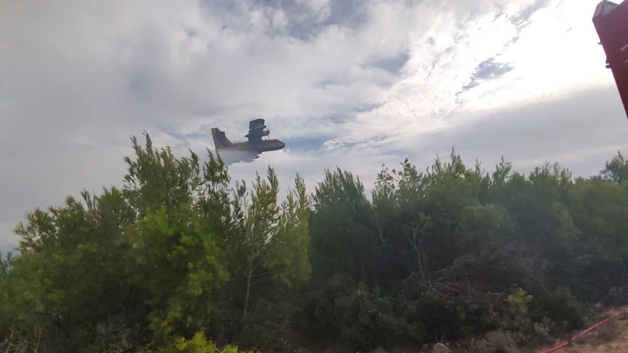 Ξέσπασε φωτιά στις Μαριές Ζακύνθου – Ενισχύθηκαν οι δυνάμεις της Πυροσβεστικής (upd)