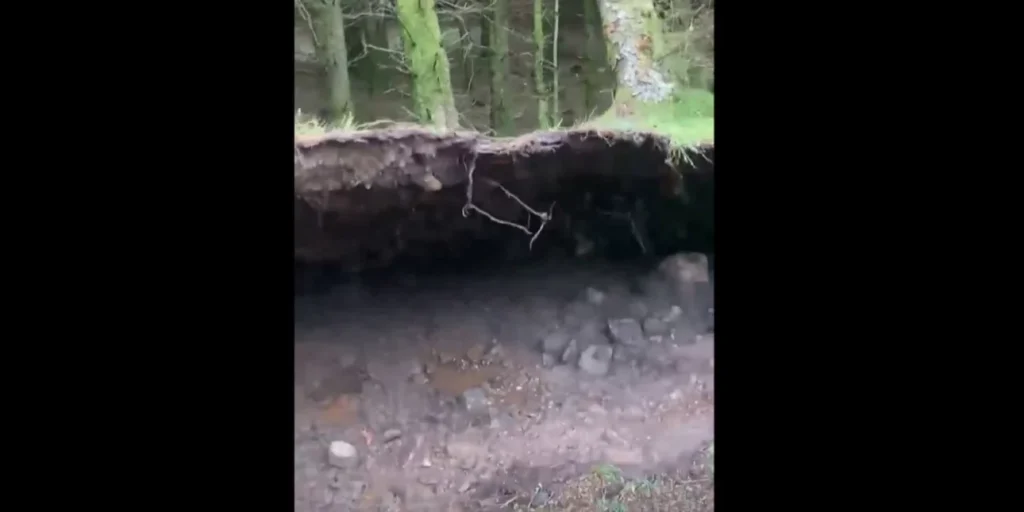 Σκωτία: Ο δυνατός αέρας σήκωσε το… έδαφος του δάσους – Σοκαριστικές εικόνες