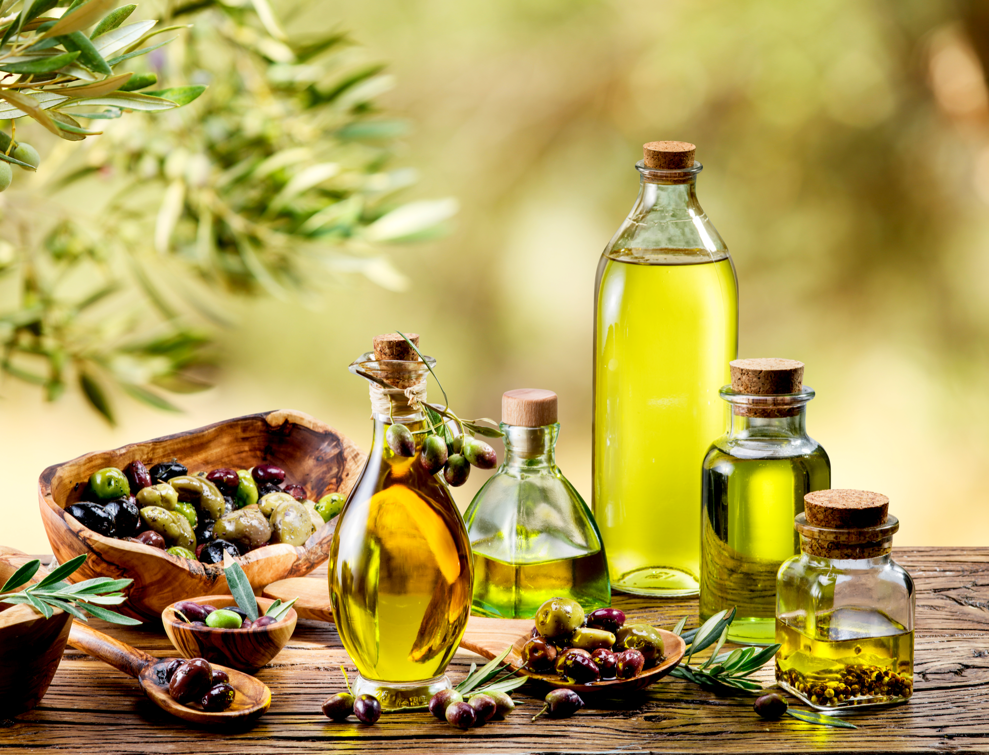 Απλησίαστο το ελαιόλαδο: Στα 25 ευρώ θα φτάσουν να πωλούνται τα… 500ml – «Δεν υπάρχει στην Ελλάδα φέτος παραγωγή»