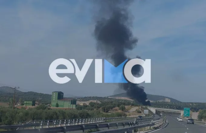 Εύβοια: Μεγάλη φωτιά σε εργοστάσιο με στρώματα στο Βαθύ Αυλίδας (upd)