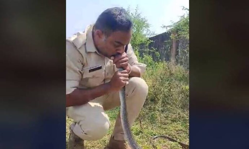 Ινδία: Αστυνομικός έδωσε «το φιλί της ζωής» σε…φίδι που ήταν αναίσθητο (βίντεο)