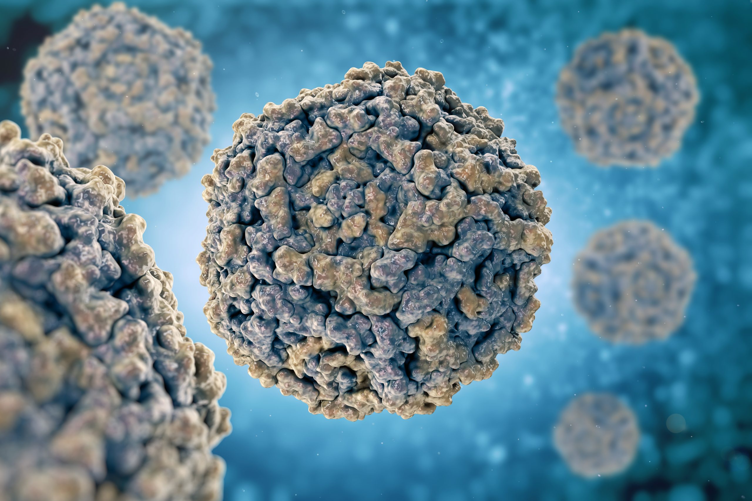 Παρβοϊός Β19: Ειδικός εξηγεί τα πάντα για την 5η νόσο της παιδικής ηλικίας