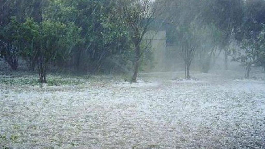 Κακοκαιρία στη Θεσπρωτία: Σοβαρές ζημιές σε καλλιέργειες από το χαλάζι – Σημειώθηκαν κατολισθήσεις