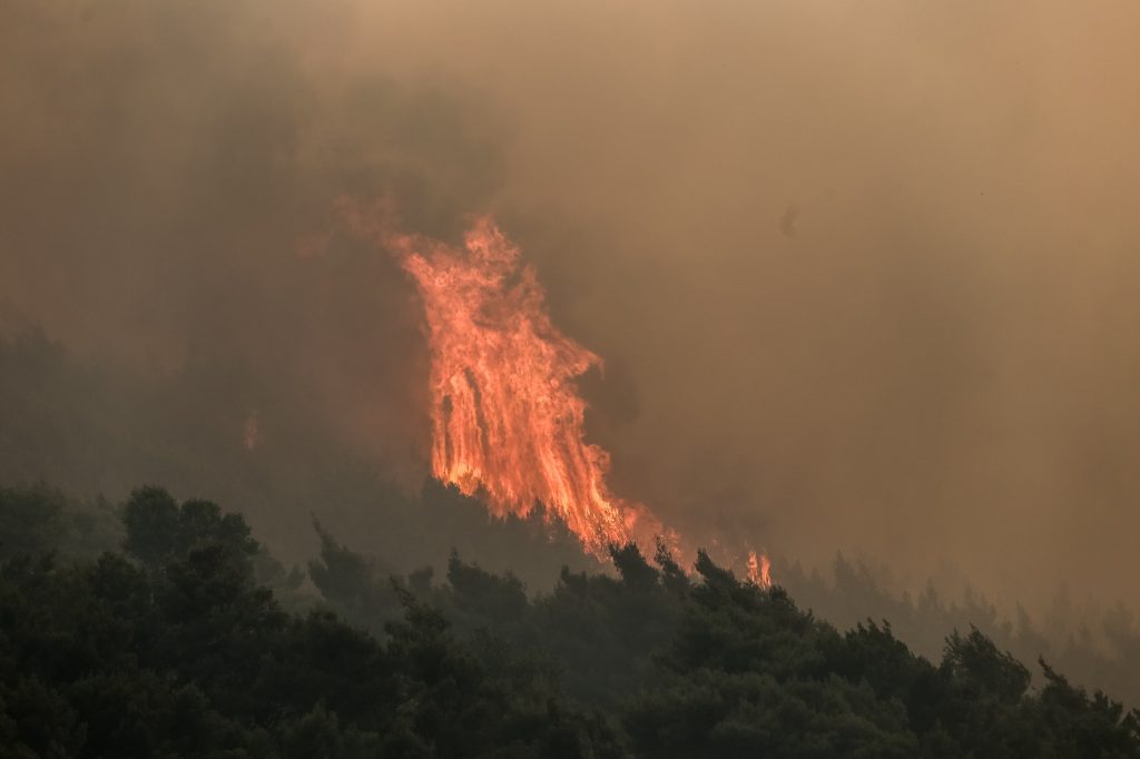 Πυρκαγιά ξέσπασε στη Λέσβο στο δάσος του Καριώνα
