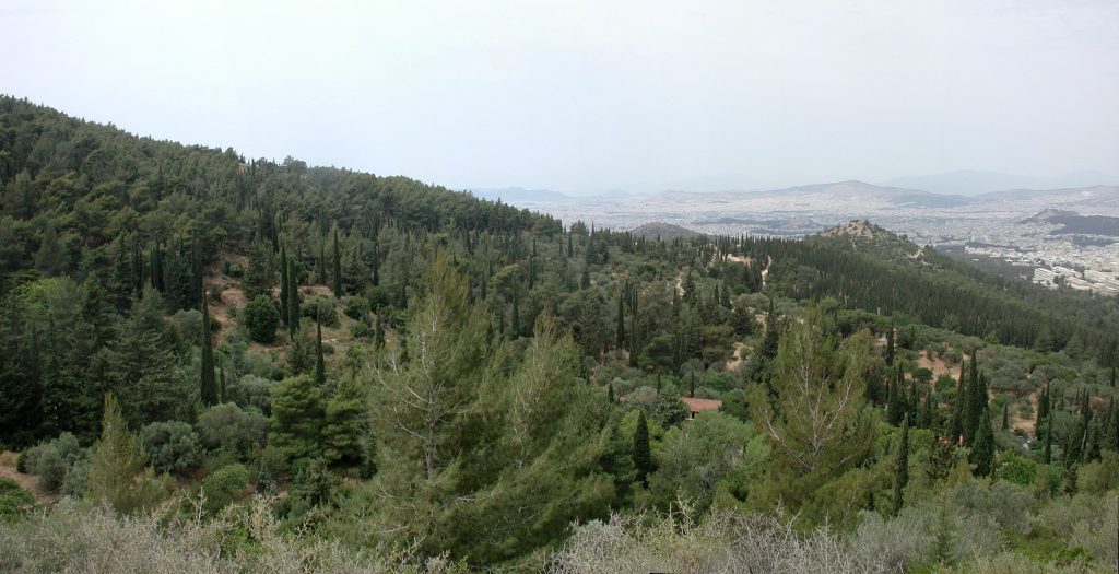 Φλώρινα: Εντοπίστηκαν σώοι οι δύο αναβάτες που αγνοούνταν σε δάσος