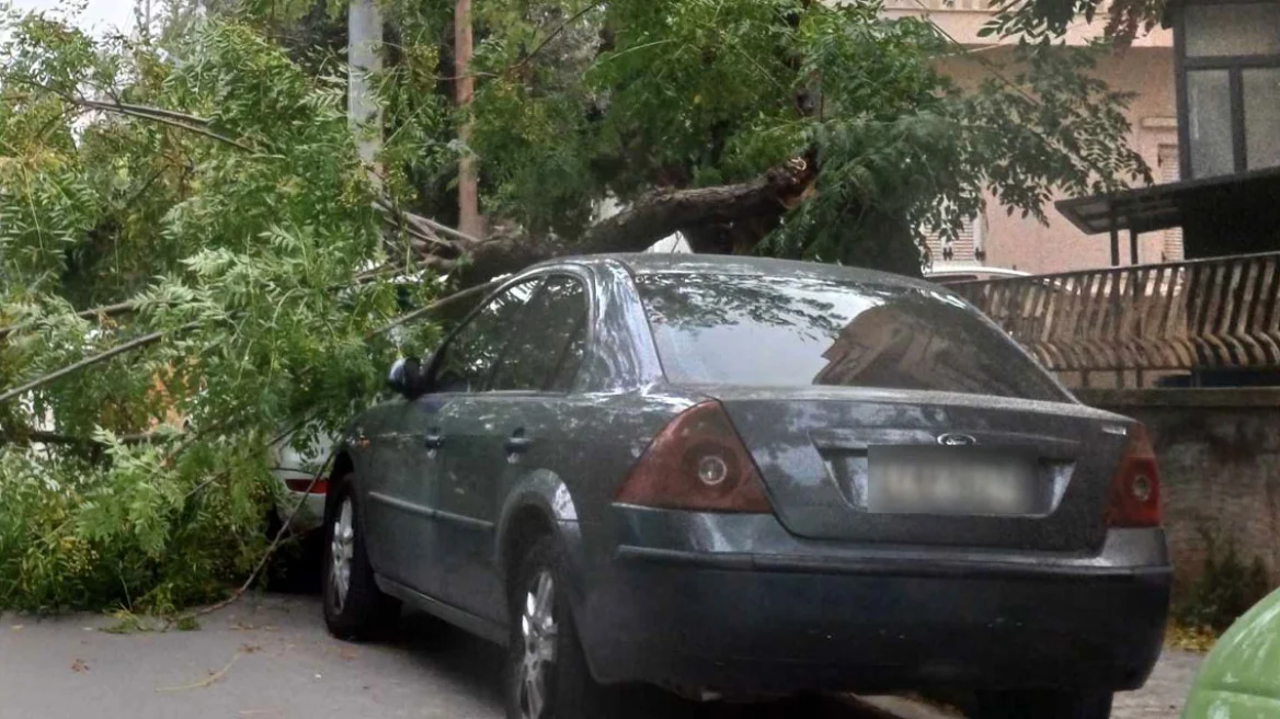 Αγία Παρασκευή: Οι ισχυροί άνεμοι έριξαν δέντρο πάνω σε αυτοκίνητα (φωτο)