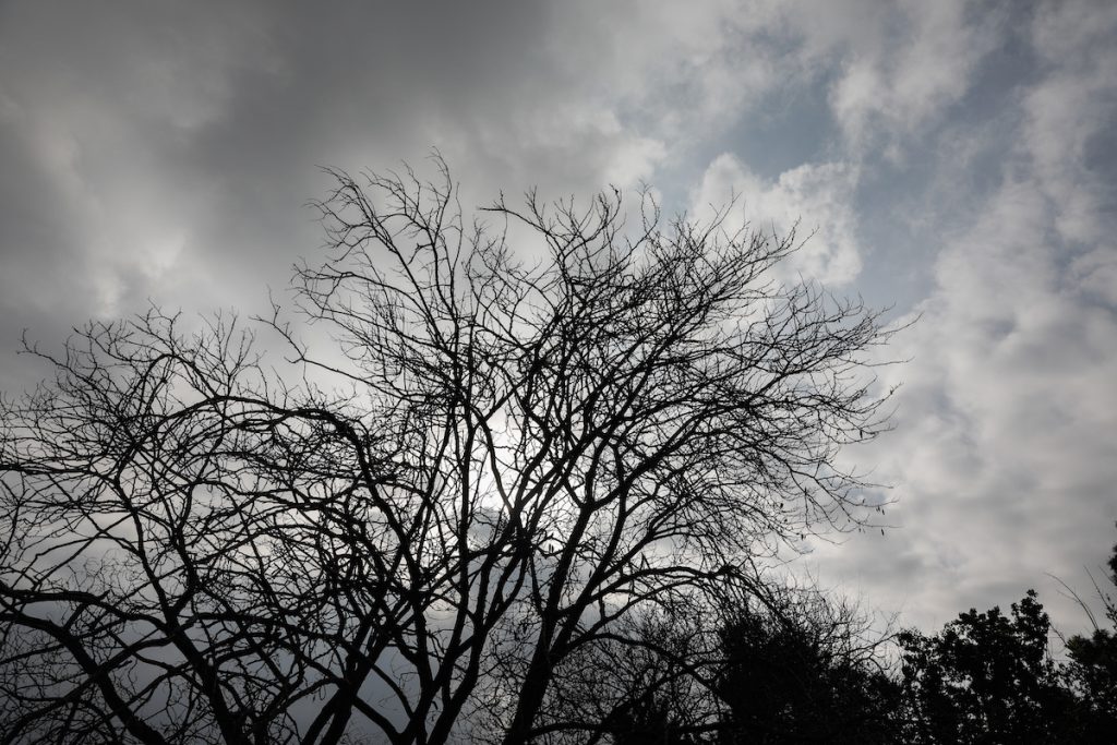 Καιρός: Αύριο η πιο κρύα ημέρα της εβδομάδας