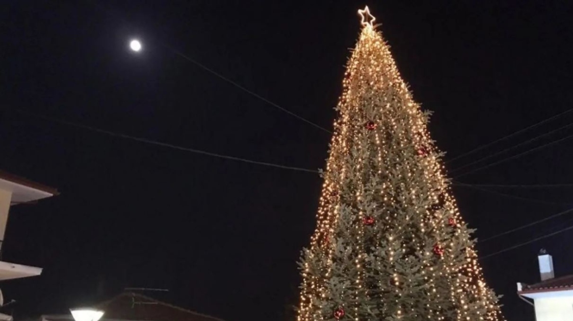 Άναψε το πρώτο χριστουγεννιάτικο δέντρο στη Χαλκιδική (βίντεο)