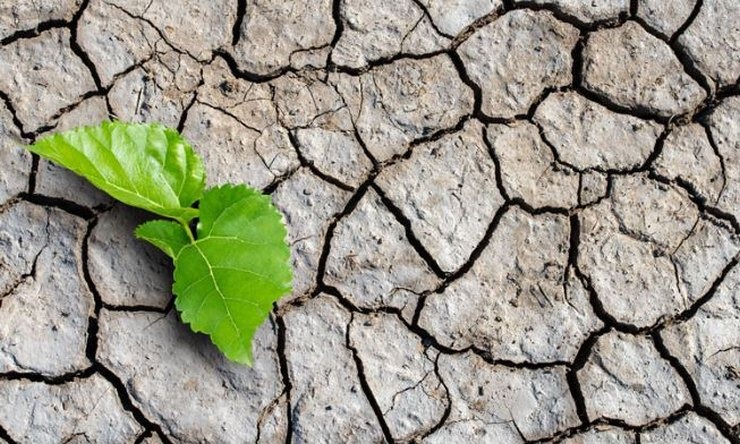 Meteo: Συνθήκες ξηρασίας παρουσίασε τον Οκτώβριο το 38% της έκτασης του εδάφους της χώρας