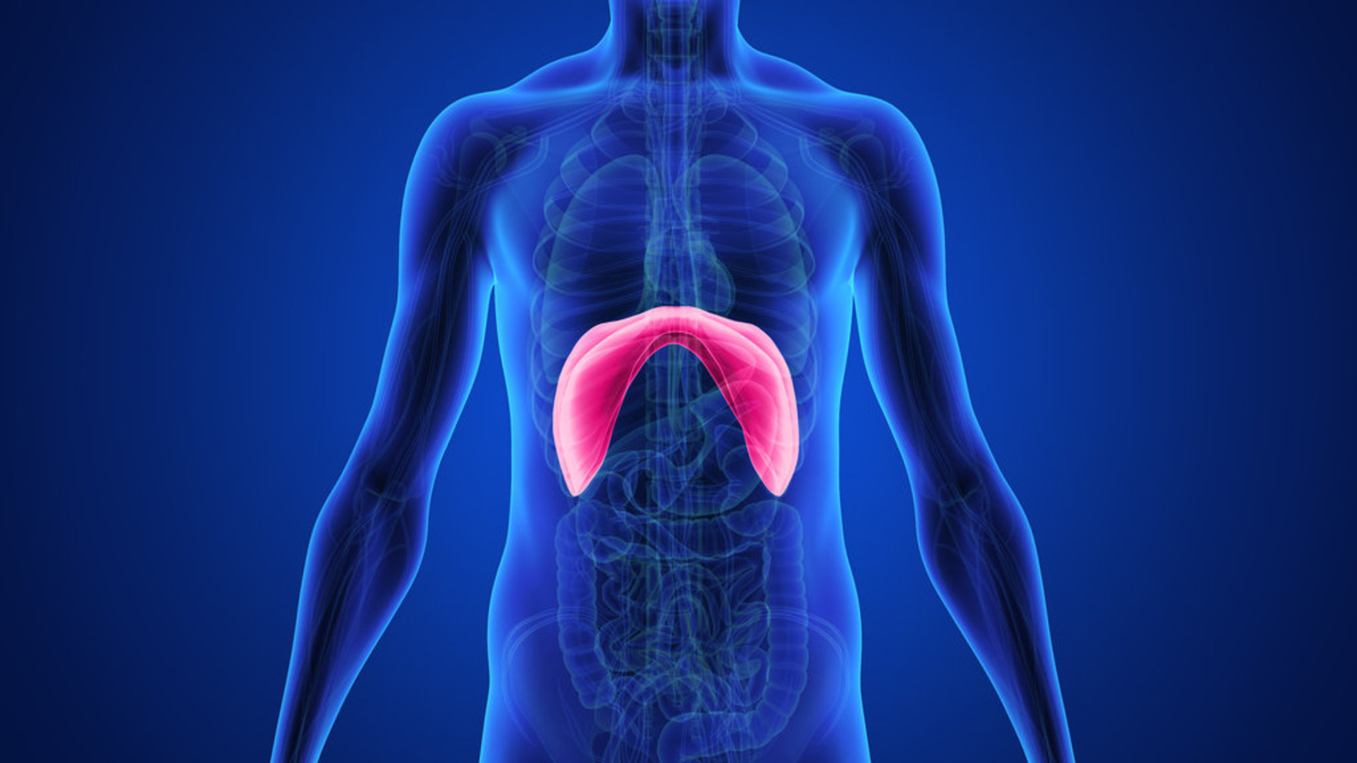 Διαφραγματοκήλη: Τι είναι και ποια τα συμπτώματα – Οι δύο κύριοι τύποι