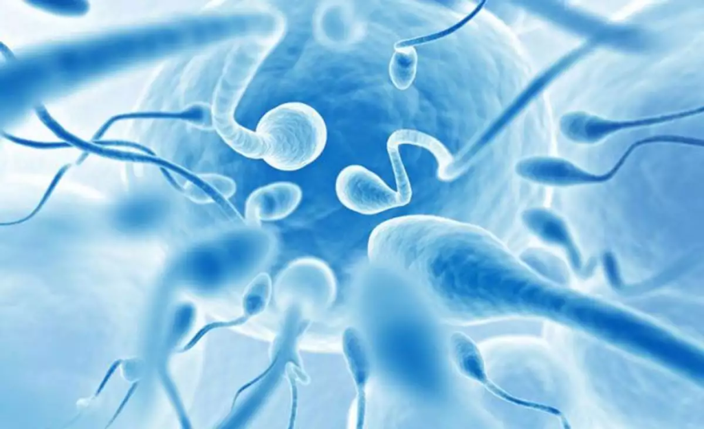 Η έκθεση στα εντομοκτόνα μειώνει την ποιότητα του σπέρματος σύμφωνα με νέα έρευνα