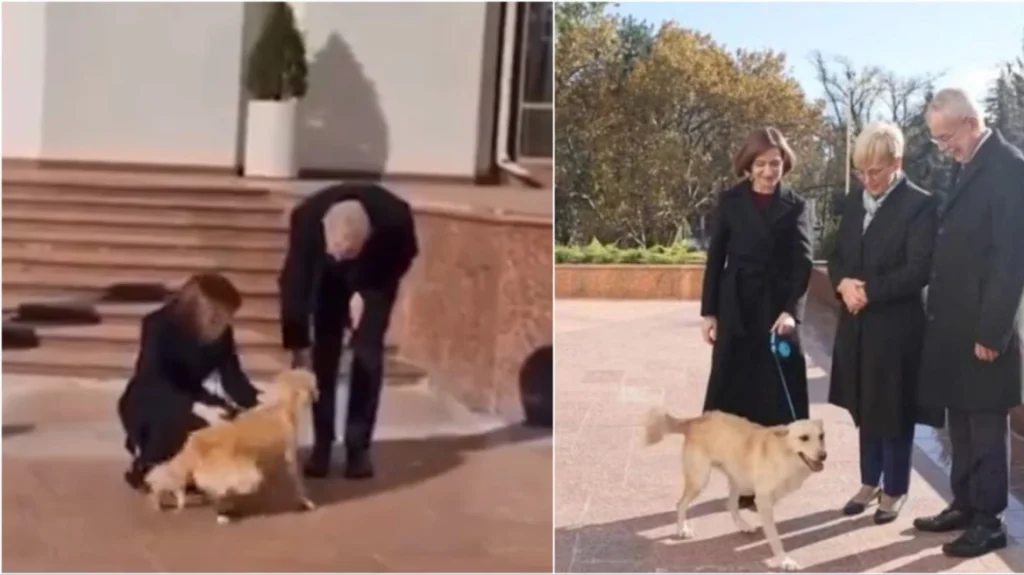 Μολδαβία: Ο σκύλος της προέδρου της χώρας δάγκωσε στο χέρι τον πρόεδρο της Αυστρίας