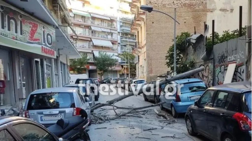 Θεσσαλονίκη: Φθορές σε αυτοκίνητα από πτώσεις δέντρων λόγω των ισχυρών ανέμων