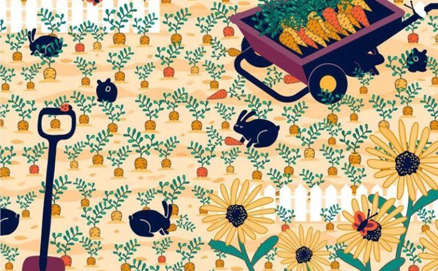 Η οφθαλμαπάτη με το κρυμμένο δαχτυλίδι που θα σε «τρελάνει» – Εσύ μπορείς να το εντοπίσεις; (φώτο)