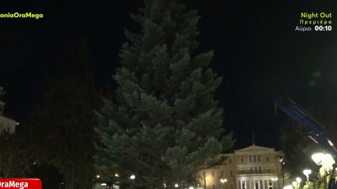 Στήθηκε στην πλατεία Συντάγματος το χριστουγεννιάτικο δέντρο – Έχει ύψος 17 μέτρα και θα στολιστεί με 24.000 λαμπιόνια