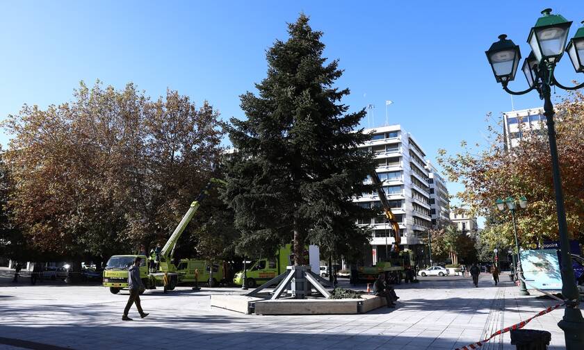 Δήμος Αθηναίων: Την Πέμπτη το απόγευμα η φωταγώγηση του χριστουγεννιάτικου δέντρου στο Σύνταγμα