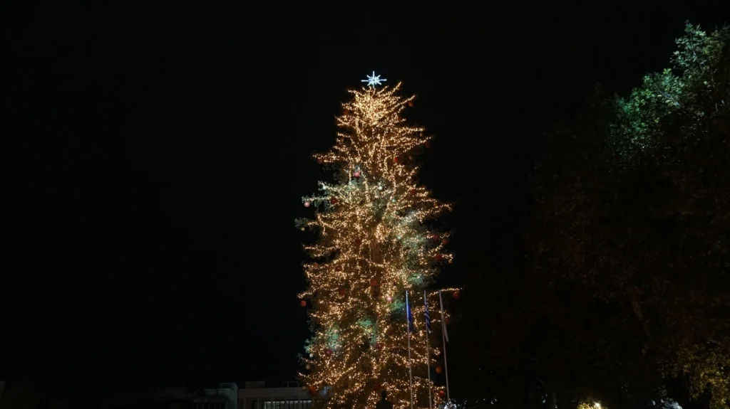 Τρίκαλα: Εντυπωσιακή η φωταγώγηση του υψηλότερου φυσικού χριστουγεννιάτικου δέντρου (φωτο)