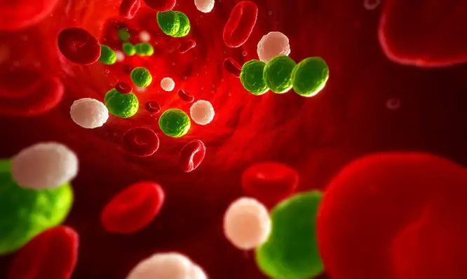 Αυτοί κινδυνεύουν περισσότερο να πάθουν σηψαιμία σύμφωνα με νέα μελέτη