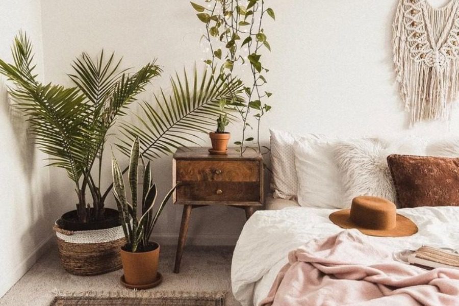 Αυτά είναι τα φυτά που θα σε βοηθήσουν να κοιμάσαι καλύτερα αν τα τοποθετήσεις στην κρεβατοκάμαρά σου