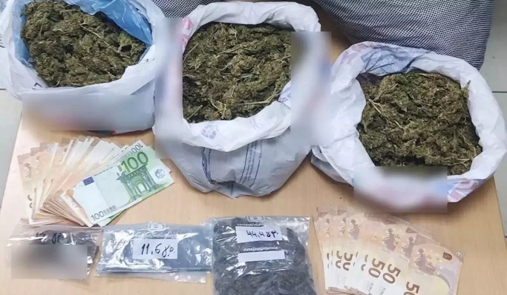 Ηλεία: Εντοπίστηκαν εκρηκτικοί μηχανισμοί και 23 κιλά κάνναβης σε κτήμα με χασισοφυτεία