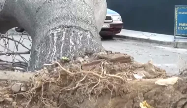 Ωρωπός: Δέντρο καταπλάκωσε αυτοκίνητο τετραμελούς οικογένειας – Στο νοσοκομείο τα δύο παιδιά