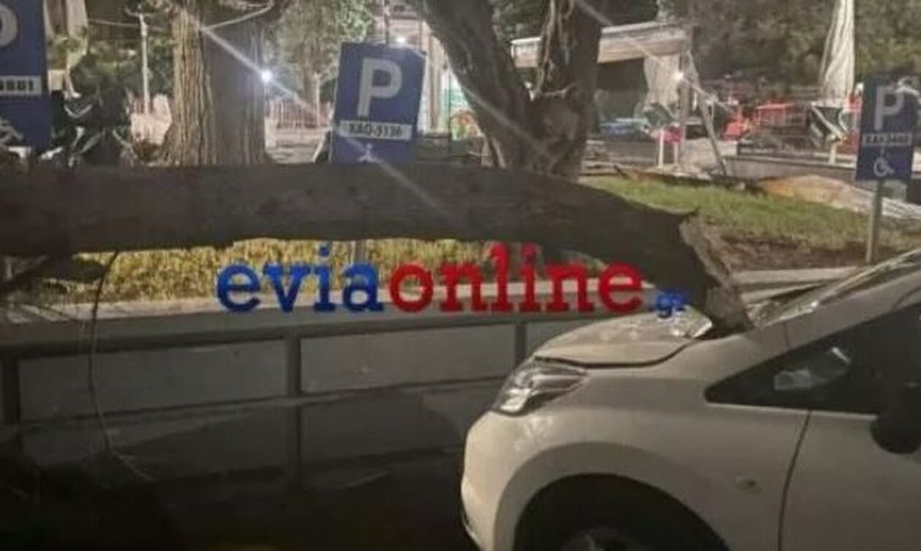 «Σάρωσε» την Εύβοια η κακοκαιρία «Bettina»: Μεγάλες καταστροφές σε μαγαζιά και αυτοκίνητα στη Χαλκίδα