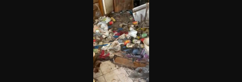 Αγρίνιο: Σπίτι-κολαστήριο για σκύλους και γάτες – Βρέθηκαν κλειδωμένα σε «βουνό» από σκουπίδια (φωτο-βίντεο)