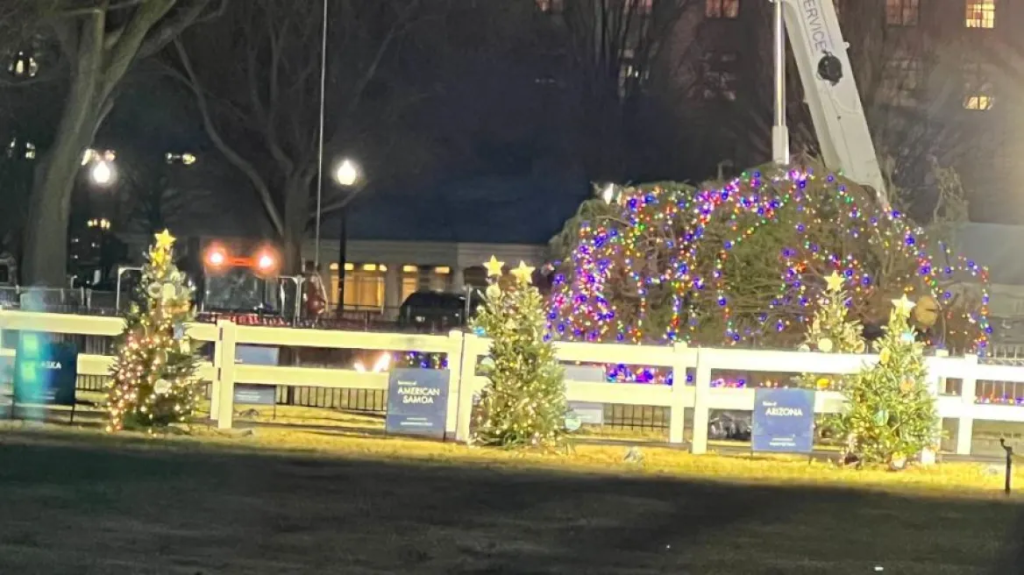 ΗΠΑ: Κατέρρευσε από τους ισχυρούς ανέμους το χριστουγεννιάτικο δέντρο έξω από τον Λευκό Οίκο (βίντεο)