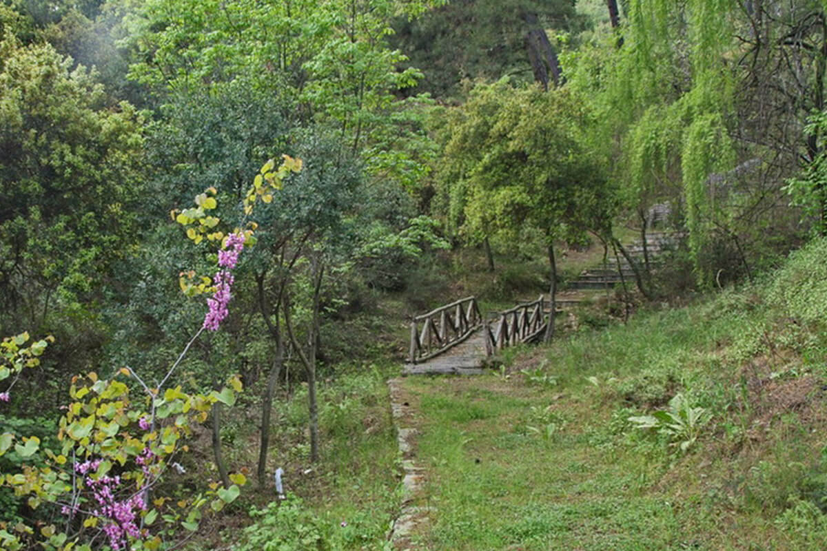 Καβάλα: Εντοπίστηκε τραυματισμένος 58χρονος περιπατητής σε χαράδρα