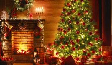 Οι ειδικοί εξηγούν: Αυτή είναι η ιδανική ημερομηνία για να στολίσετε το χριστουγεννιάτικο δέντρο