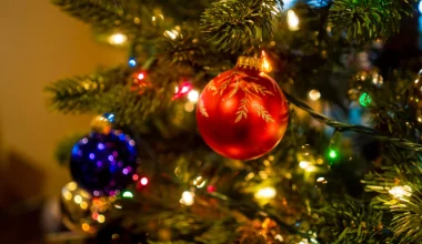 Πυροσβεστική: «Κλείνουμε τα χριστουγεννιάτικα φωτάκια πριν φύγουμε από το σπίτι ή πριν τον ύπνο» (βίντεο)