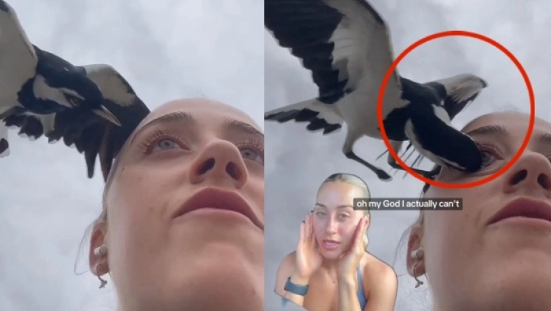 Αυστραλία: Γυναίκα δέχθηκε επίθεση από καρακάξα και παραλίγο να «χάσει» το μάτι της (βίντεο)