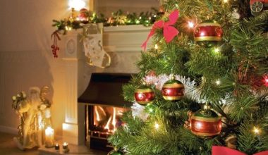 Σύνδρομο χριστουγεννιάτικου δέντρου: Τι ακριβώς είναι και με ποια συμπτώματα εκδηλώνεται;