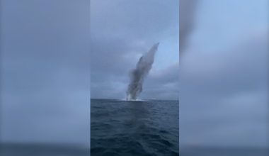 Δανία: Η στιγμή που εκρήγνυται βόμβα του Β’ Παγκοσμίου Πολέμου στη θάλασσα (βίντεο)