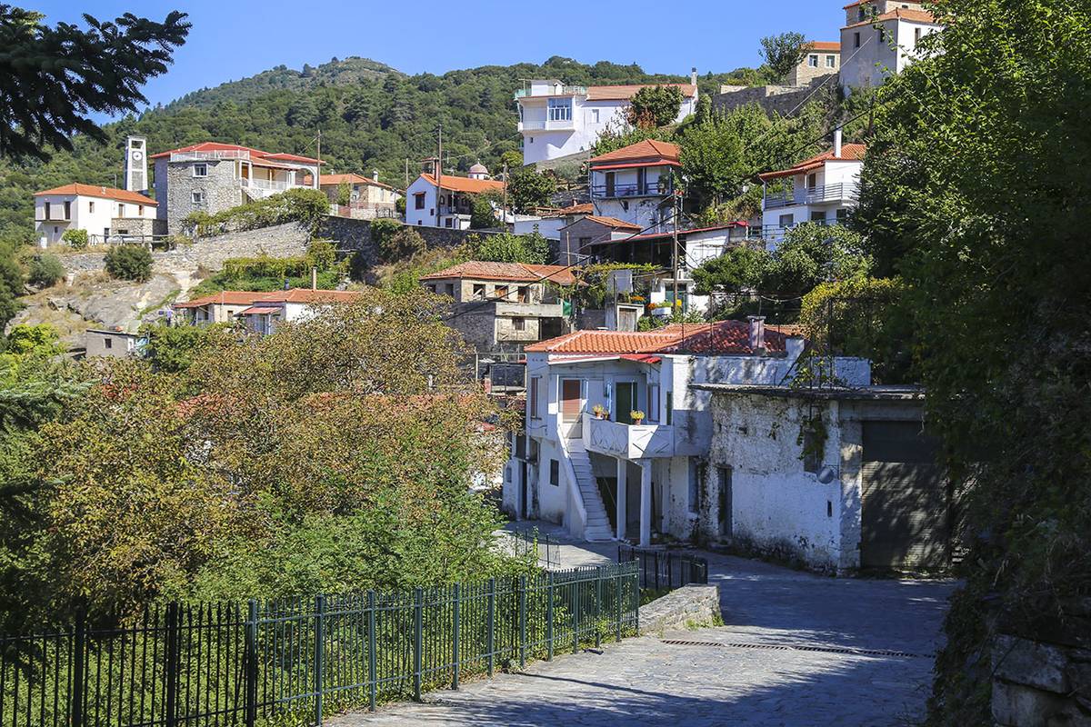 Βαμβακού: Ο ονειρεμένος τόπος στις κατάφυτες πλαγιές του Πάρνωνα που περιμένει να τον ανακαλύψετε (φώτο)