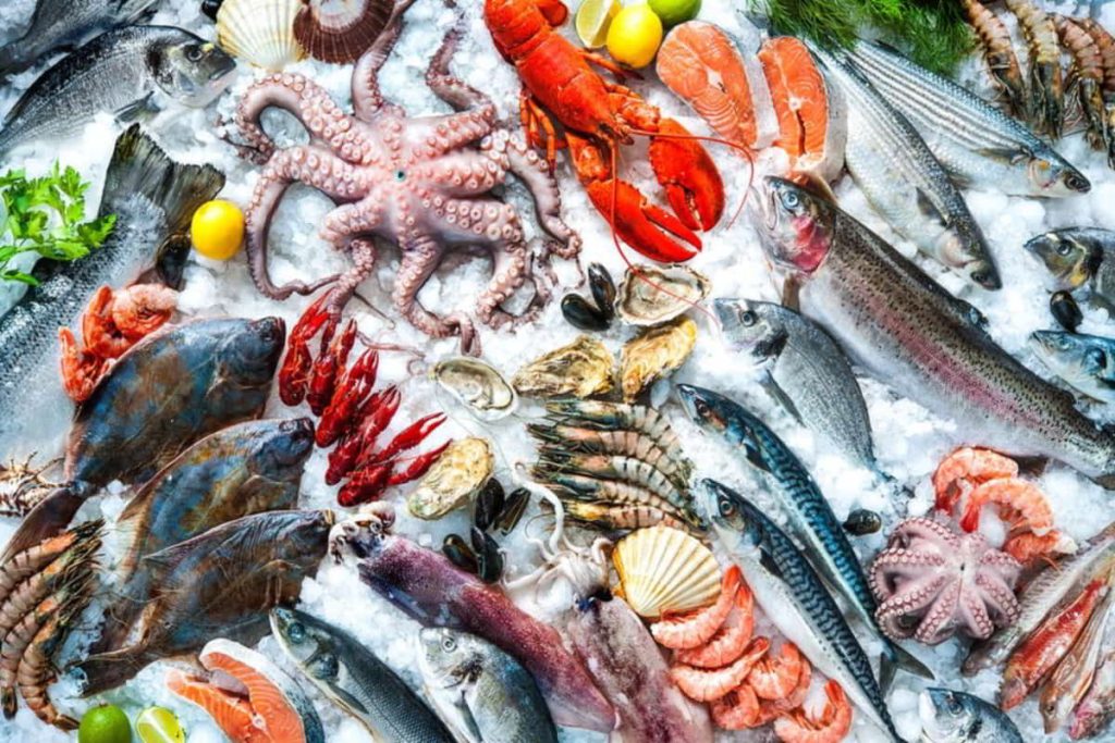 Δείτε ποια είναι τα καλύτερα είδη ψαριών για κατανάλωση – Τα οφέλη τους
