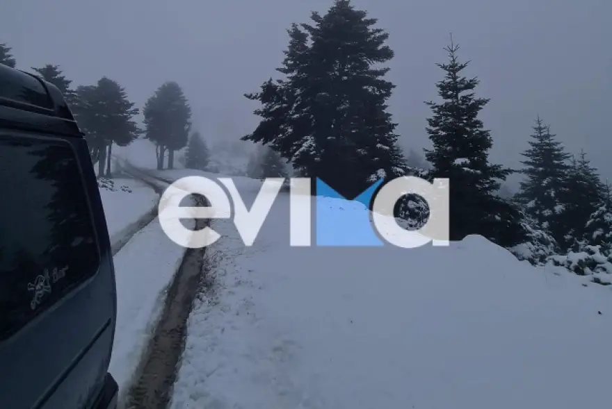 Έπεσαν τα πρώτα χιόνια στην Εύβοια – Το έστρωσε στα ορεινά της Στενής (φώτο)