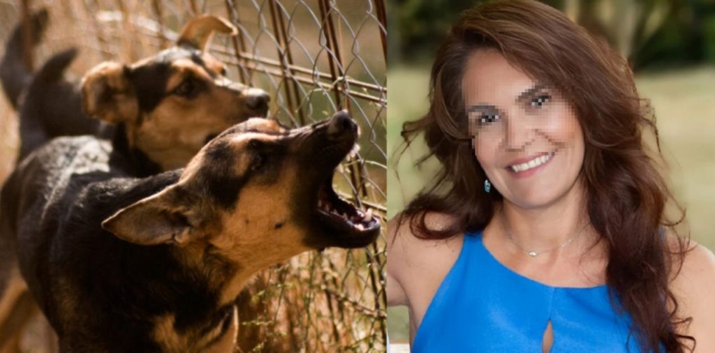 Θεσσαλονίκη – Κηπουρός 50χρονης: «Τα σκυλιά τη δάγκωσαν παντού – Το σώμα της ήταν γεμάτο τρύπες»