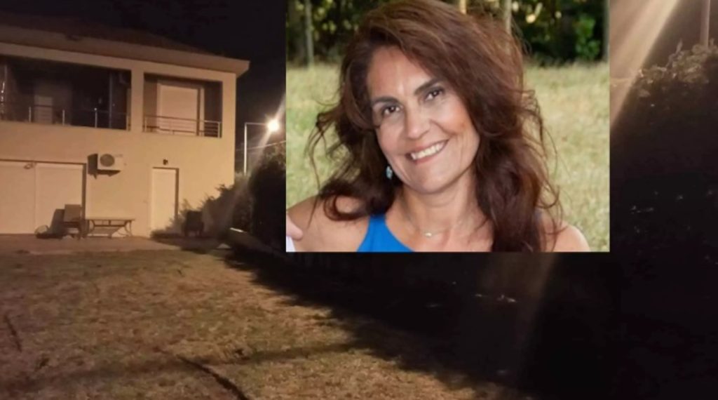 Θεσ/νίκη: «Οι σκύλοι αντέδρασαν ενστικτωδώς στον ήχο του αλυσοπρίονου» λέει ο δικηγόρος του ιδιοκτήτη τους