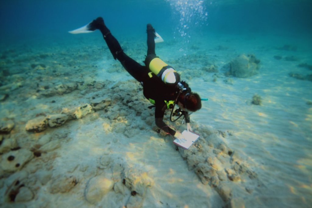 Παυλοπέτρι: Η αρχαιότερη βυθισμένη πόλη στον κόσμο που βρίσκεται απέναντι από την Ελαφόνησο (βίντεο)