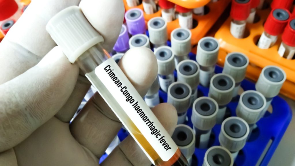 ECDC: «Μπορεί να εμφανιστούν κρούσματα αιμορραγικού πυρετού Κριμαίας-Κονγκό και στην Ελλάδα»