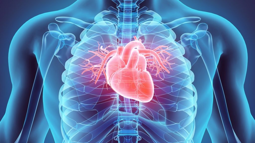 Σχεδόν 20 εκατομμύρια άνθρωποι πέθαναν από καρδιαγγειακά νοσήματα το 2022 – Ποια είναι τα πιο επικίνδυνα