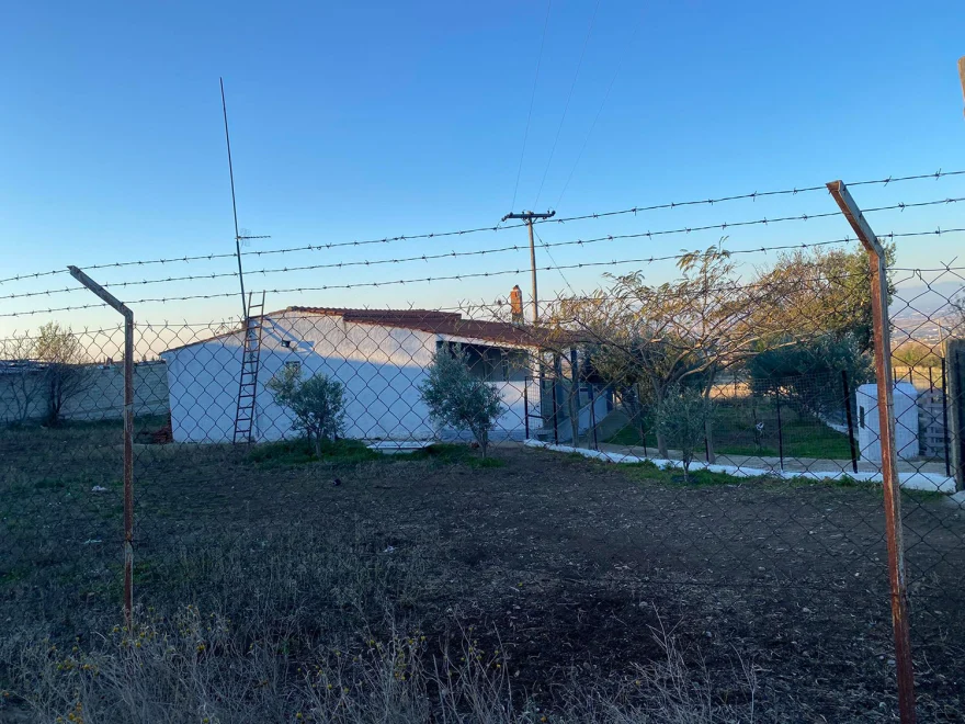 Θεσσαλονίκη: «Είναι εκπαιδευμένα και δεν είχαν επιθετική συμπεριφορά» λέει ο ιδιοκτήτης των σκυλιών που κατασπάραξαν την 50χρονη