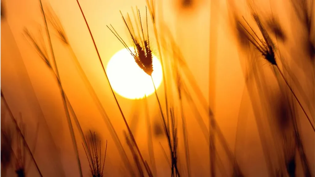 Ισπανία: Η θερμοκρασία καταγράφει επίπεδα ρεκόρ τον Δεκέμβριο