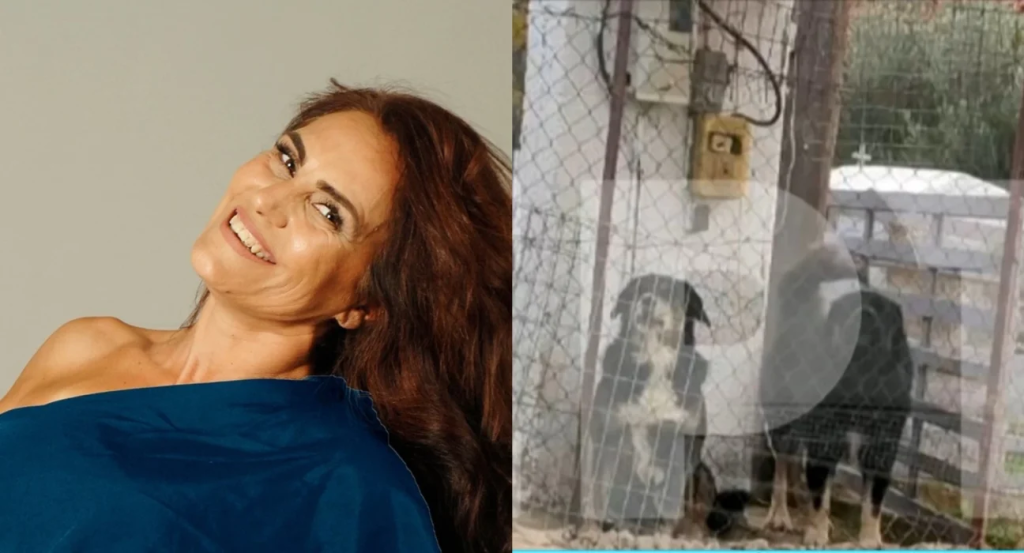 Θεσσαλονίκη: Απολογείται σήμερα ο 37χρονος ιδιοκτήτης των σκυλιών που κατασπάραξαν την 50χρονη – Τι θα ισχυριστεί