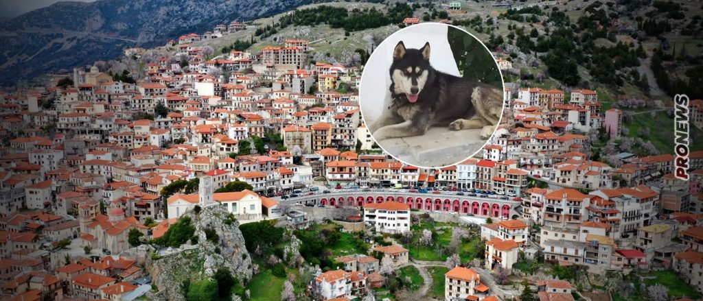 «Τον Όλιβερ τον σκότωσε άνθρωπος»: Η οικογένεια έβαλε ανεξάρτητο ερευνητή για να μάθει τι έχει συμβεί