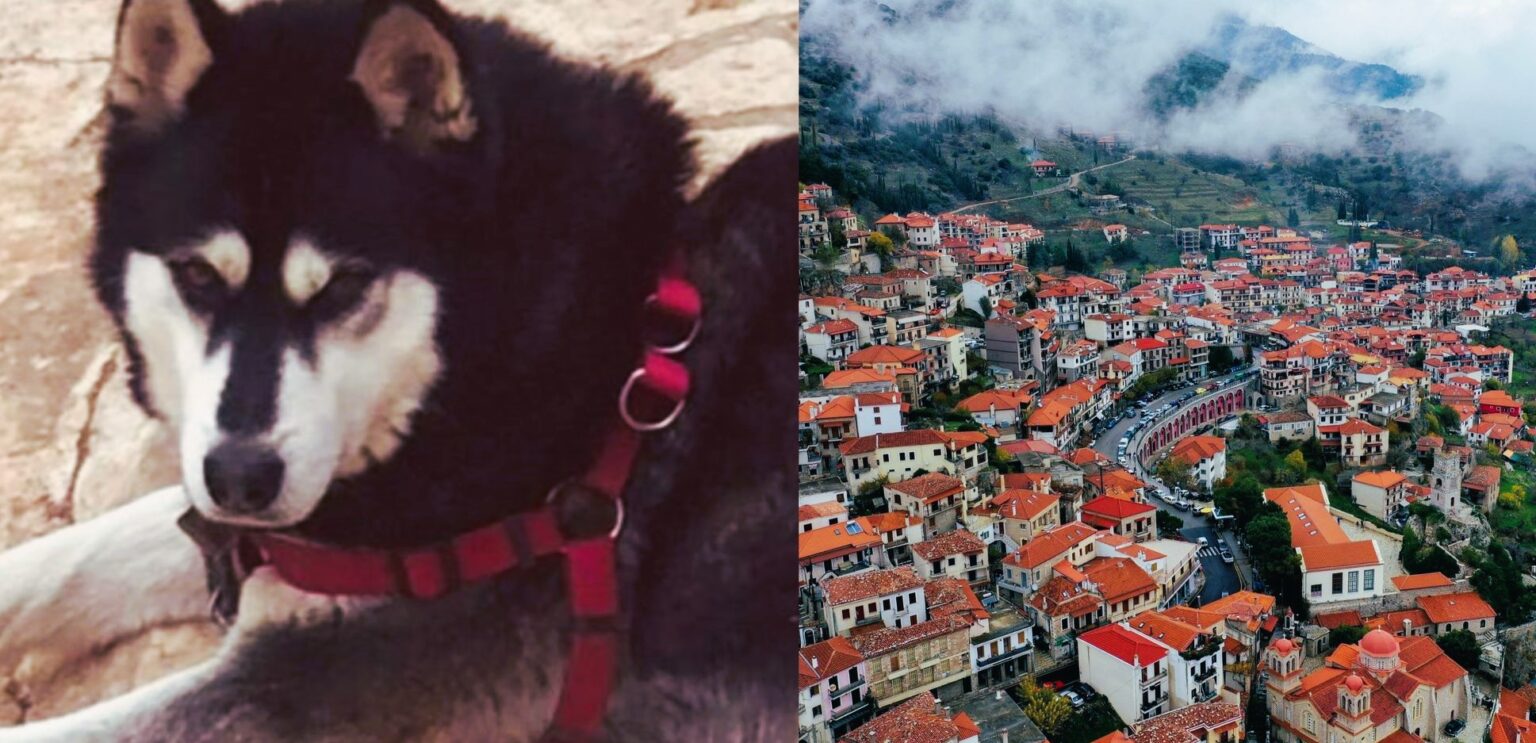 Αράχωβα: Και τρίτη πραγματογνωμοσύνη για το χάσκι