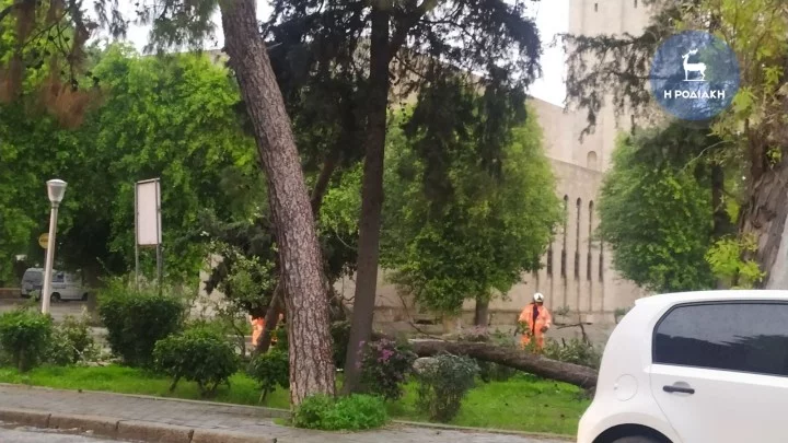 Ρόδος: H κακοκαιρία «σφυροκοπά» το νησί – Πτώσεις δέντρων και διακοπές ρεύματος