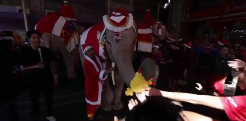Χριστούγεννα στην Ταϊλάνδη: Ελέφαντες ντυμένοι Άγιοι-Βασίληδες μοίρασαν δώρα σε μαθητές (βίντεο)
