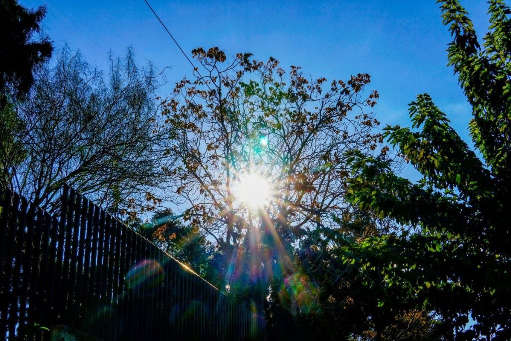 Καιρός: «Χριστούγεννα με νοτιάδες και υψηλές θερμοκρασίες» λέει ο Θ.Κολυδάς 